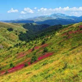 Старопланинско