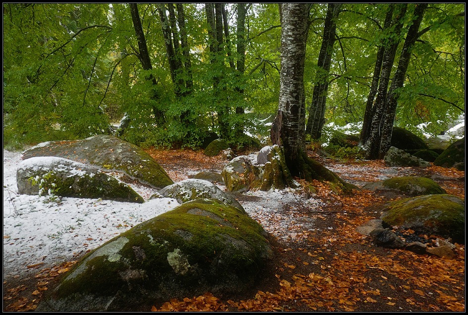 10.10.2011 - Витоша