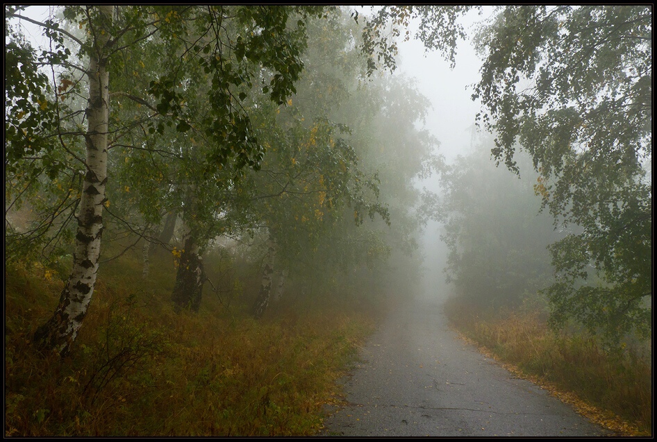 10.10.2011 - Витоша /2/