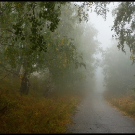 10.10.2011 - Витоша /2/