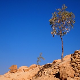 Lonely planet, Jordan, Petra