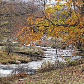 Есенно мийковско