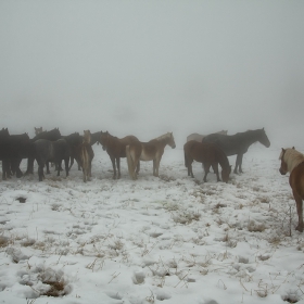 Беклемето 12.10.2011