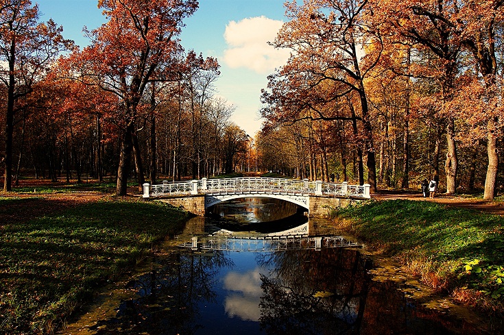 Осень в парке