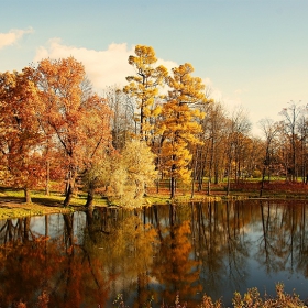 Осень в парке