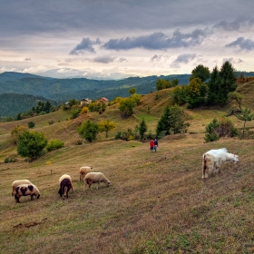 Есенно край Бирково