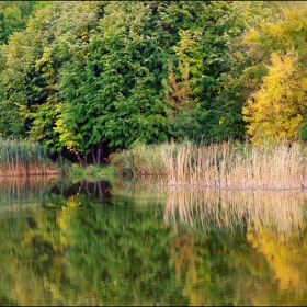 Есенни отражения