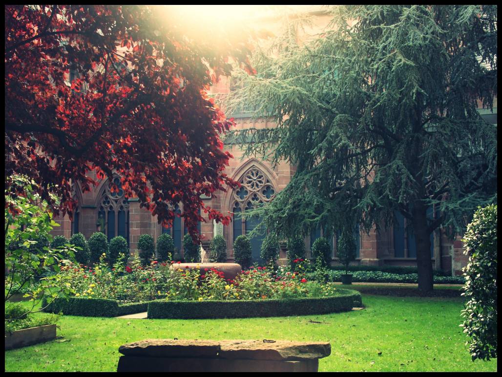 Mainzer Dom
