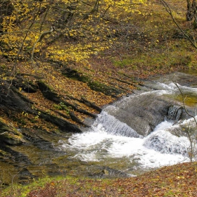 есенни гледки