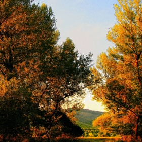 по пътеката