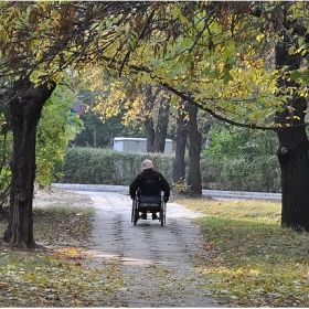 Листопад