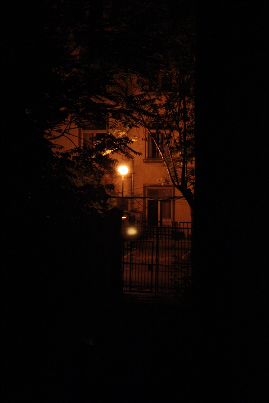 Somewhere in the Dark