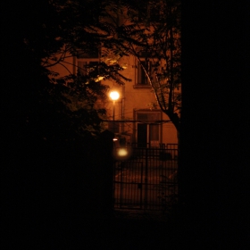 Somewhere in the Dark