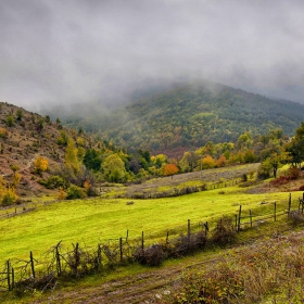 Есенно