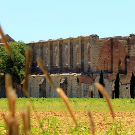 San Galgano Abbey