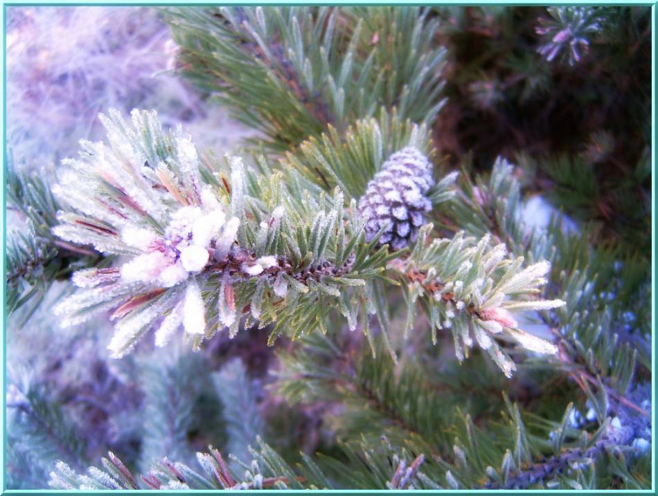 SKREG_2
