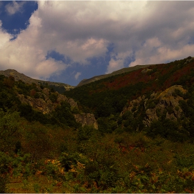 Mountain Stara Planina ^^^=....№4