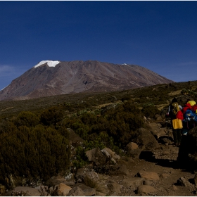 Към  .... Килиманжаро.. Mt. KILIMANJARO    -  вр. Ухуро 5895м....... - AFRIKA.......№ 2