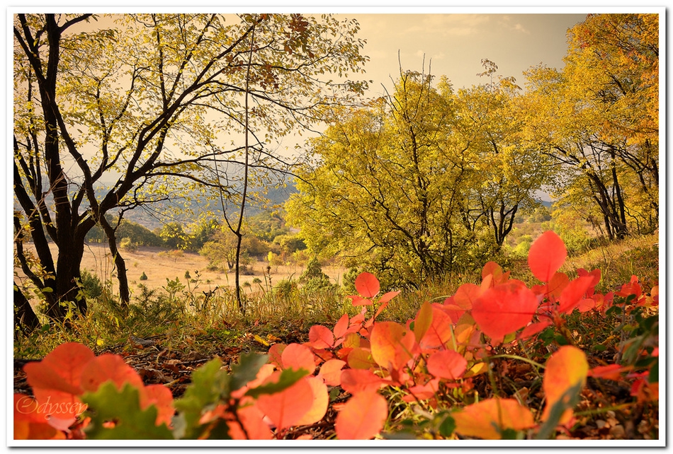 The Kiss of Autumn