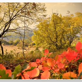 The Kiss of Autumn