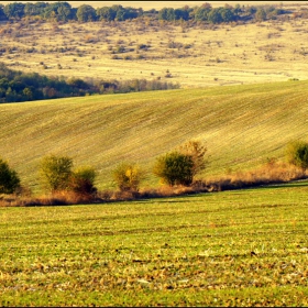 Релеф