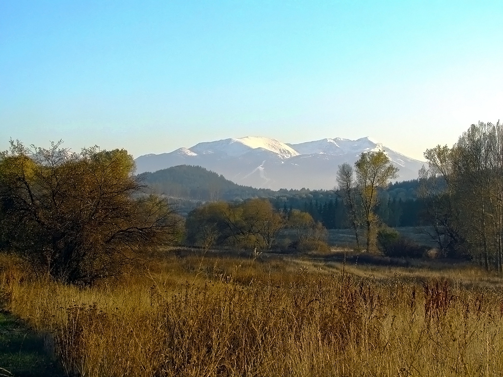 Рила