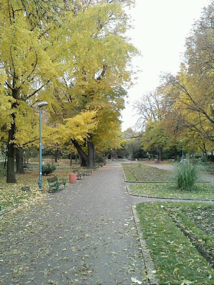 11.11.2011