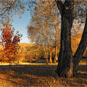 Есенно