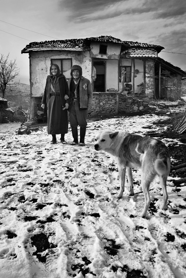 другари в живота