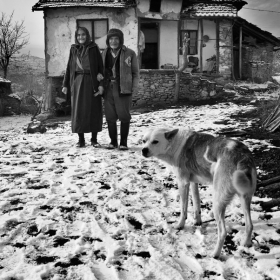 другари в живота