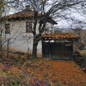 В очакване на снега