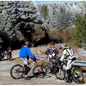 Mountain bikers