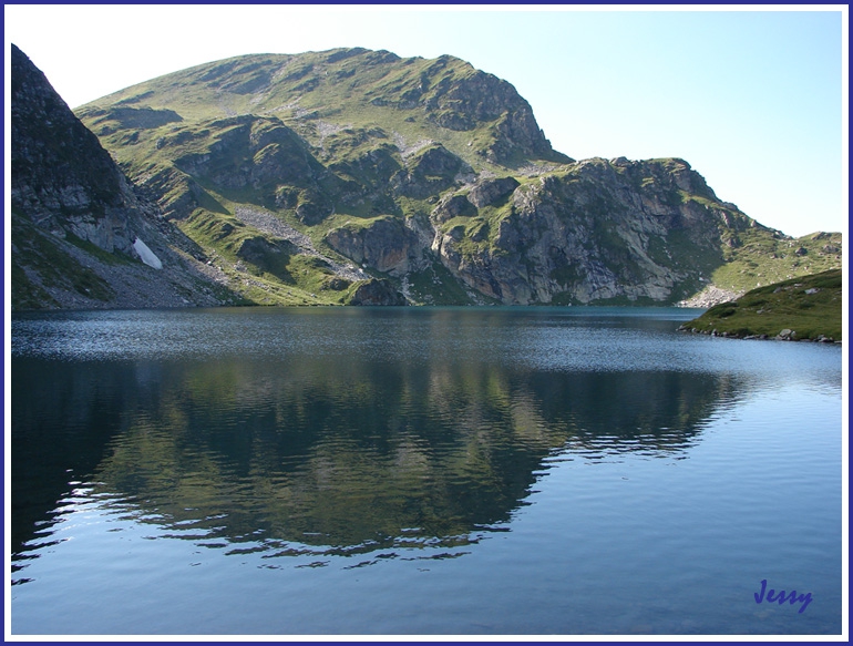 Бъбрека