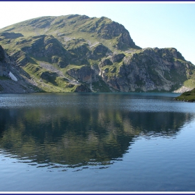 Бъбрека
