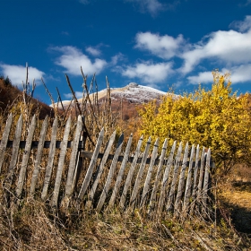 Шарено есенно