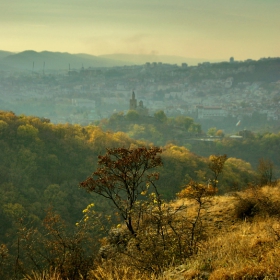 В далечината