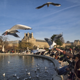 Един следобед в Jardin des Tuileries