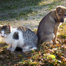 Снимка без име