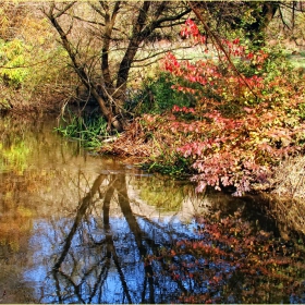 Есенни води