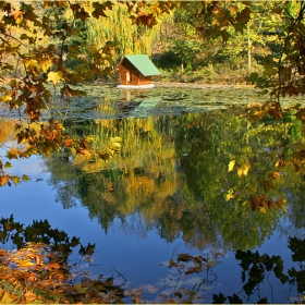 цветни отражения