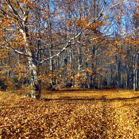 Есен