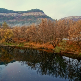 Вечерни цветове