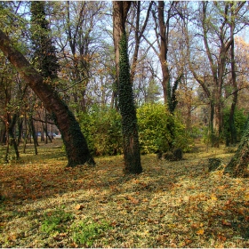 Есенни разходки из парка -2