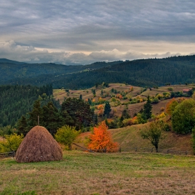 Край Бирково