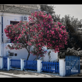 Greece