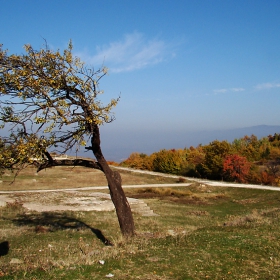 Привличане