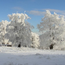 скреж