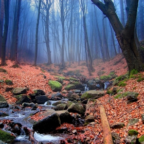 Есенно
