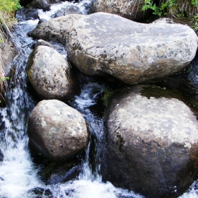 iz Vitosha