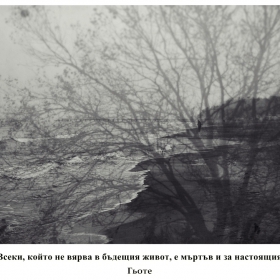 Снимка без име